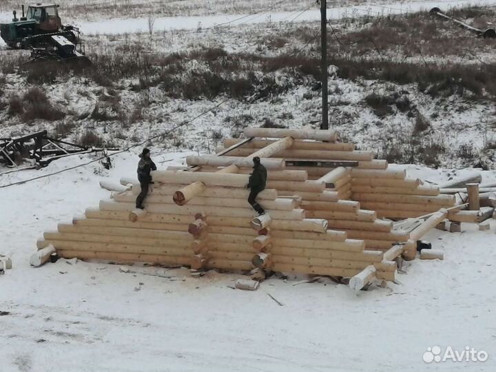 Рубка срубов