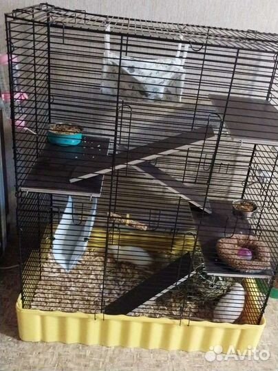 Клетка для крыс, шиншилл, дегу, хорьков