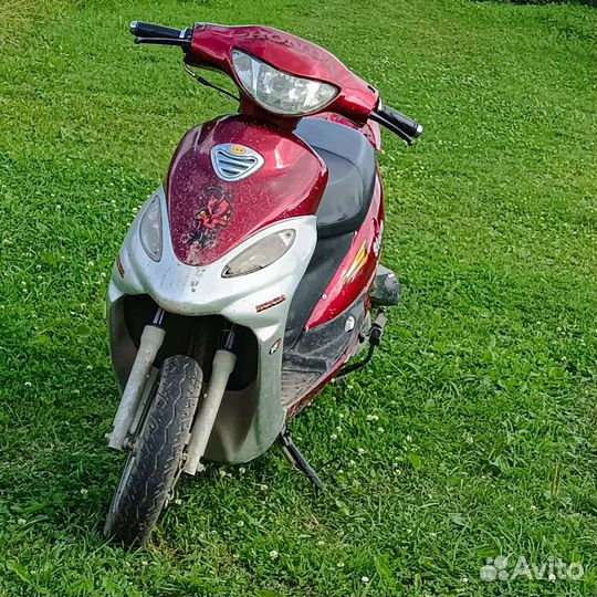Abm storm l 50кубов