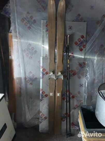 Лыжи охотничьи