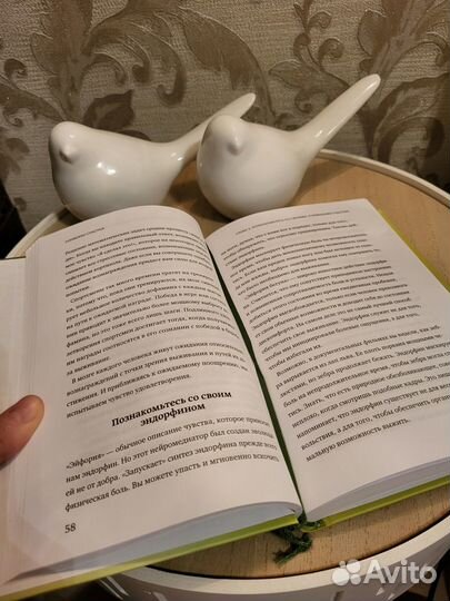 Книга Лоретты Бройнинг 