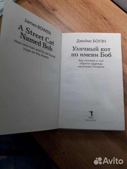 Уличный кот по имени Боб. Джеймс Боуэн