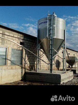 Оборудование для птичника, установка курятника