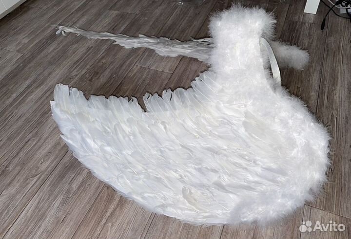 Аренда крыльев