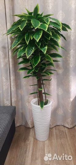 Искусственное дерево,манго