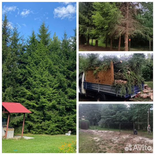 Спил деревьев частями