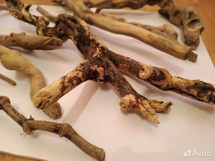 Коряги дрифтвуд, террариум,творчество, аквариум