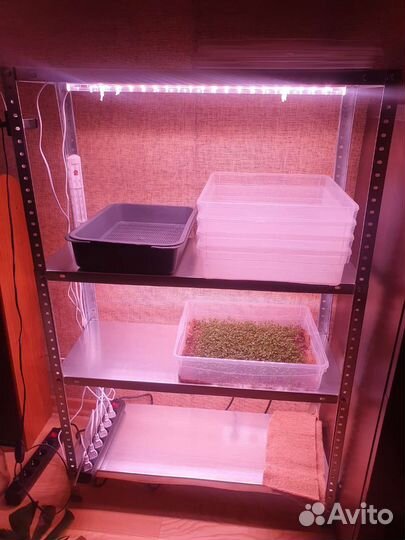 Стелаж для микрозелени