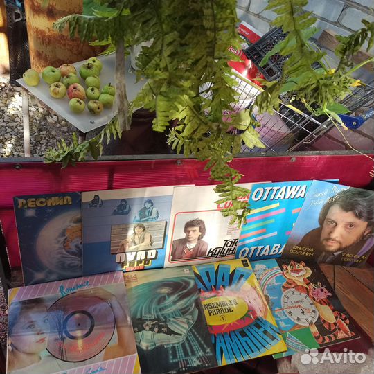 Виниловые пластинки СССР