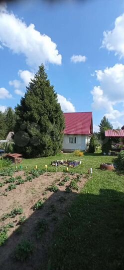 Дача 50 м² на участке 8 сот.