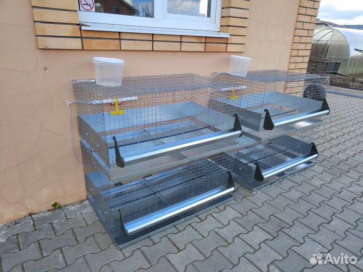 Клетка для 20 бройлеров