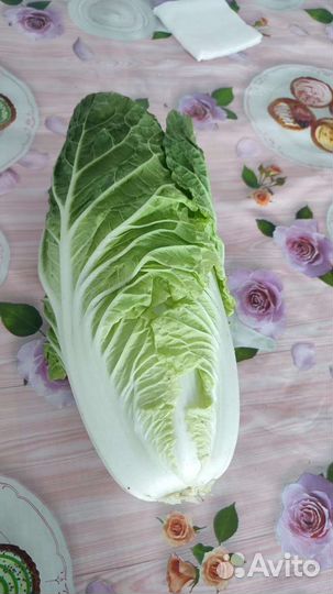 Пекинская капуста