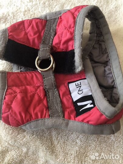 Шлейка для маленькой собаки