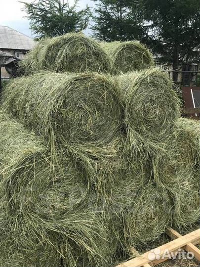 Продам сено в маленьких рулонах