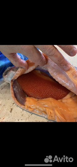 Форель охлажденная из Осетии