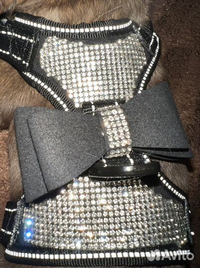 Шлейка для маленькой собаки