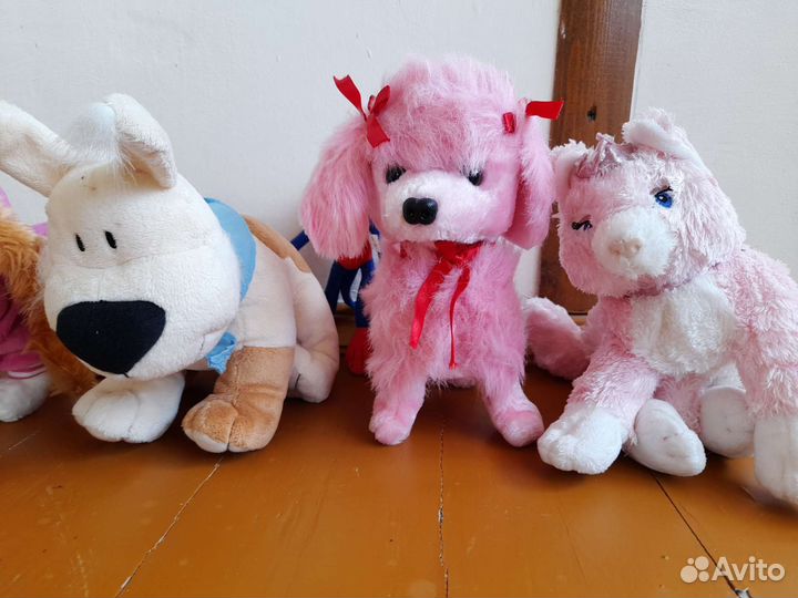 Мягкие игрушки. 5 собачек и кошка