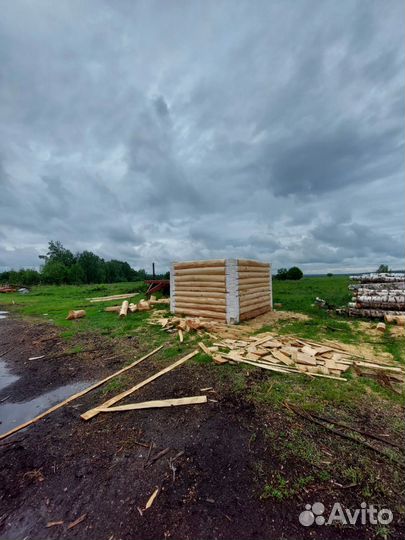 Сруб для бани липа