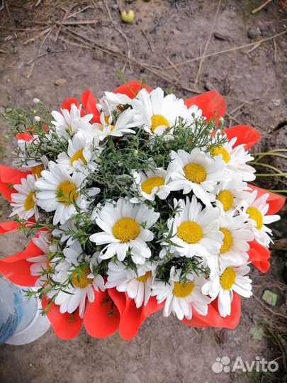 Корзина с цветами. Букеты