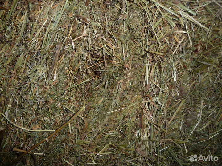 Сено Солома