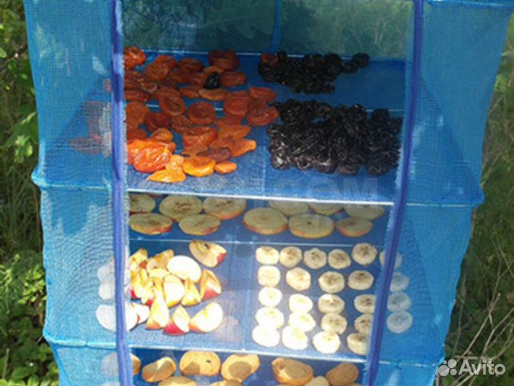 Сушилка подвесная для рыбы/овощей/фруктов 50х50х97