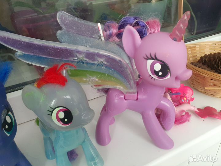 My Little Pony