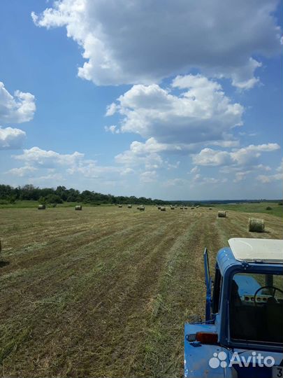 Сено в рулонах