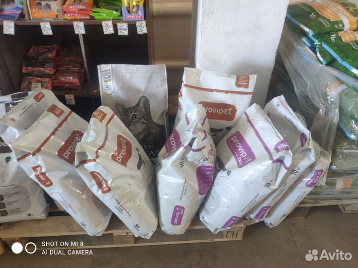 Сухой корм для кошек и собак