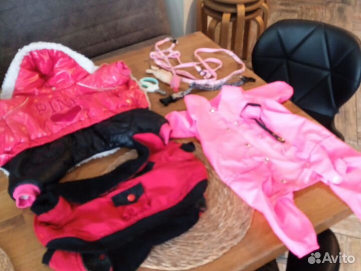 Одежда и аксессуары для собак