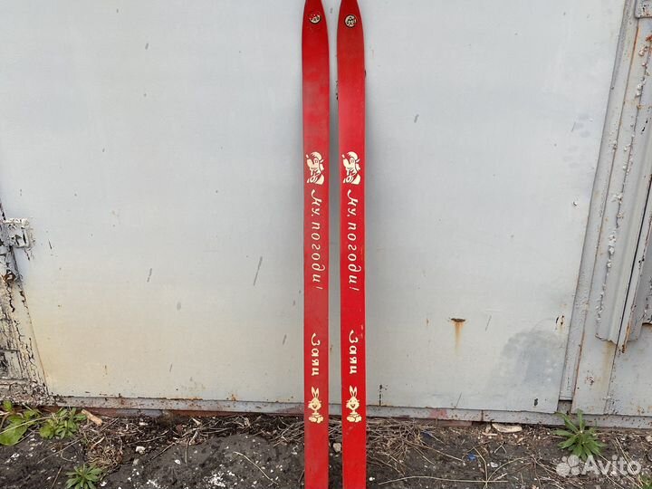 Беговые лыжи