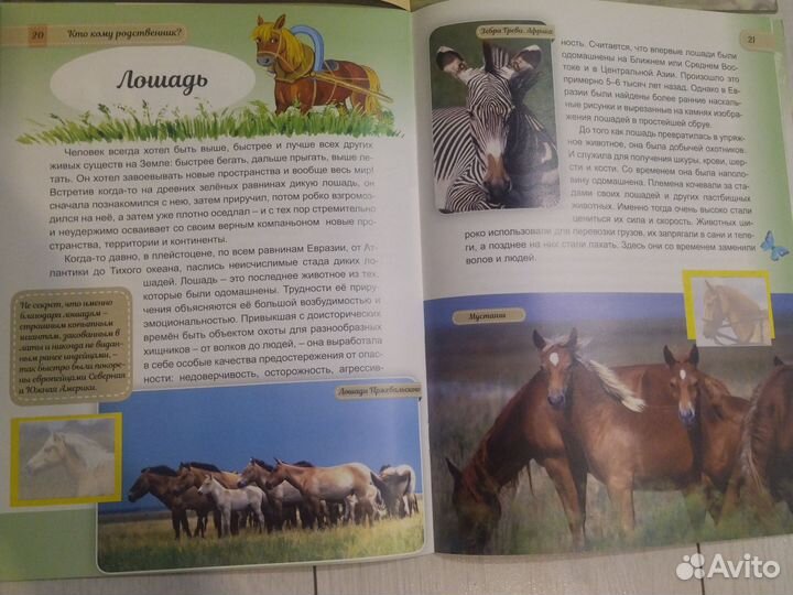 Книги для детей