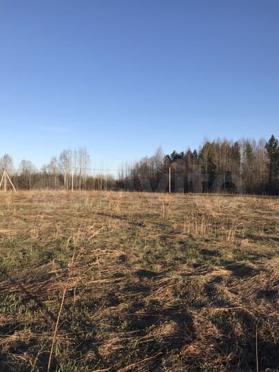 Участок 11,5 сот. (ИЖС)