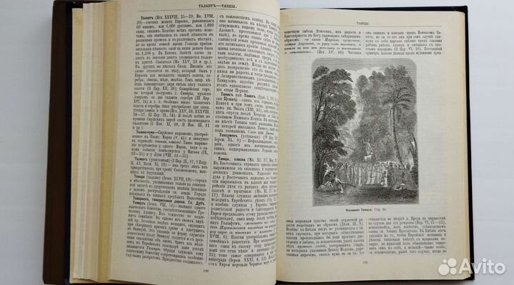 Библейская энциклопедия в 2 томах