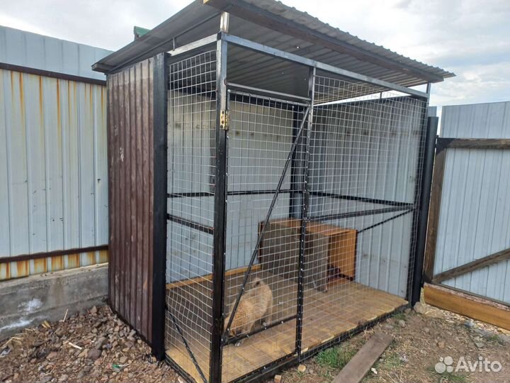 Вольер для собак