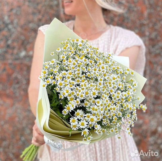 Ромашки Пионы Розы Доставка