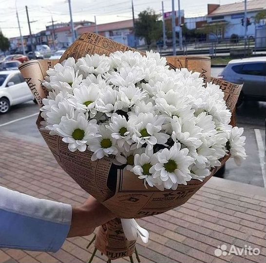 Хризантема Букеты с доставкой