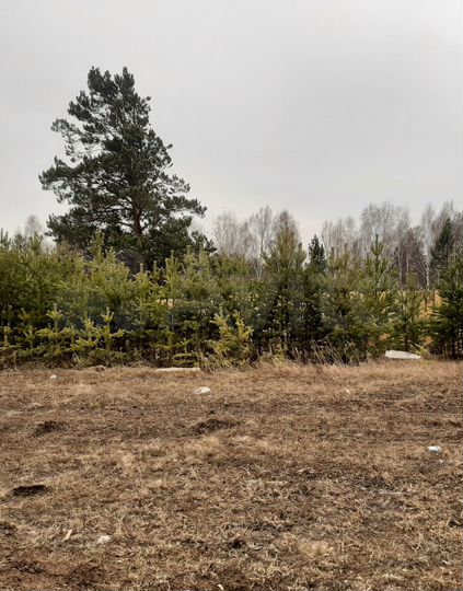 Участок 8 сот. (ИЖС)