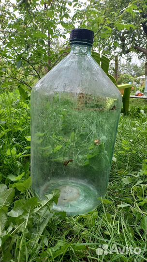 Бутыль стеклянная для вина