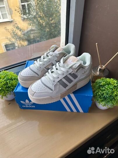 Кроссовки Adidas Forum 84 Low женские