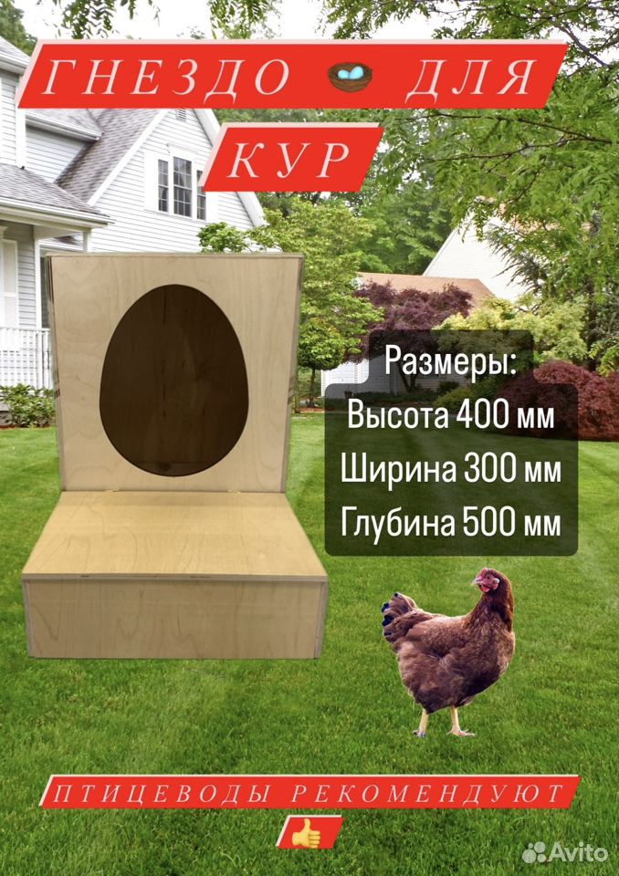 Гнездо для кур-несушек до 20 голов купить с доставкой по доступной цене