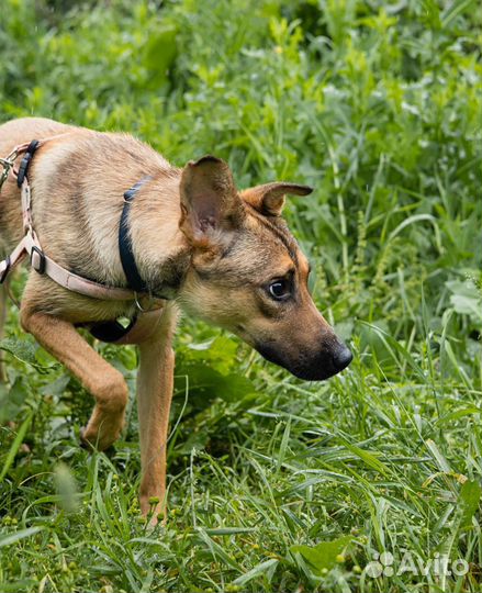 Девочка с тяжёлой судьбой из приюта