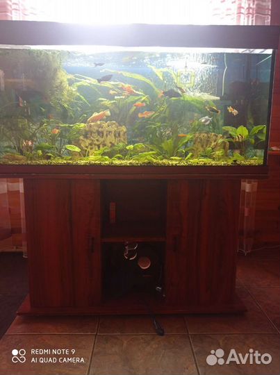 Аквариум с тумбой 300 литров