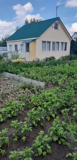 Дача 50 м² на участке 4 сот.