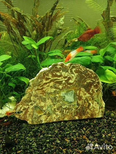 Декор для аквариума