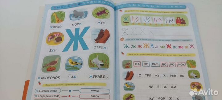 Прописи, логика, азбука для дошкольников