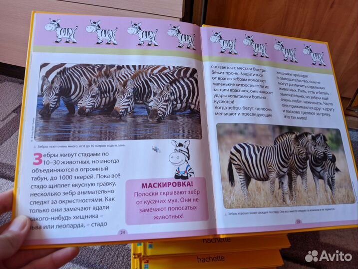 Моя весёлая азбука от Hachette