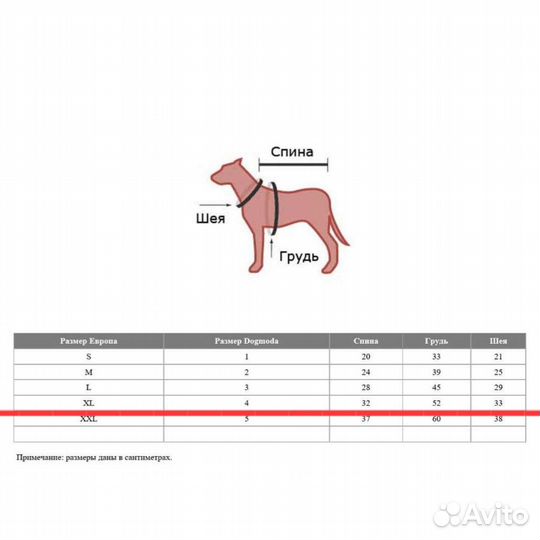 Костюм для собаки
