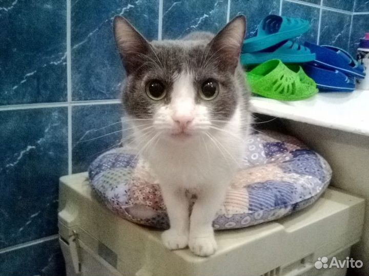 Малышка девочка Даша