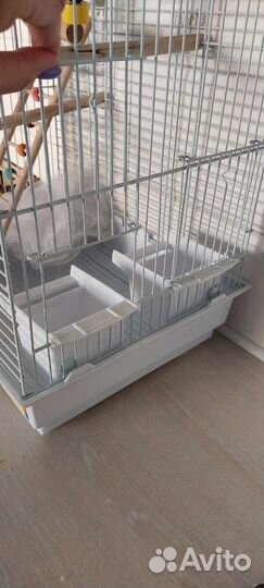 Клетка для попугая