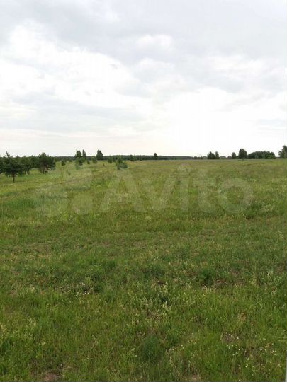 Участок 5,34 га (СНТ, ДНП)